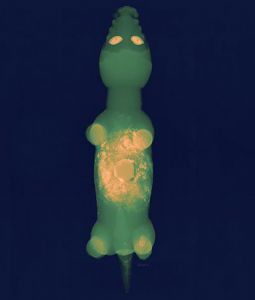 X-ray-africa-statue3